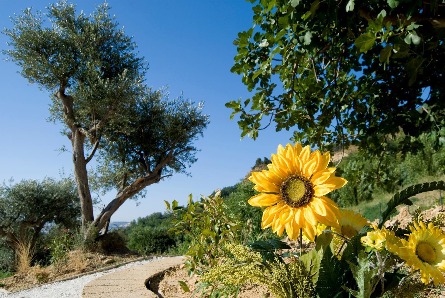 Agriturismo Il Falco Сант-Эльпидио-а-Маре Экстерьер фото
