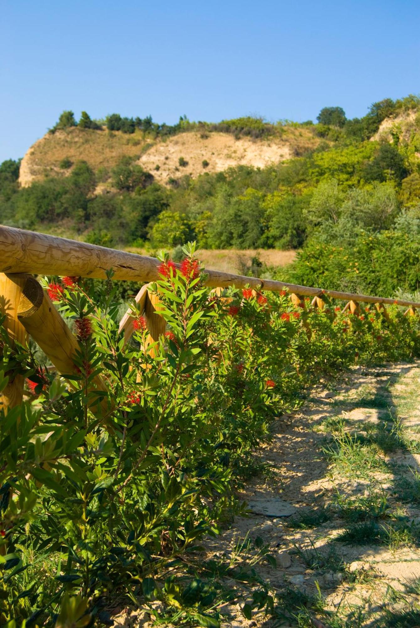 Agriturismo Il Falco Сант-Эльпидио-а-Маре Экстерьер фото